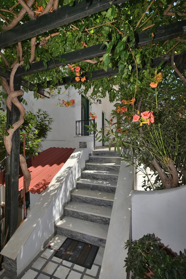 πικροδάφνες Tinos