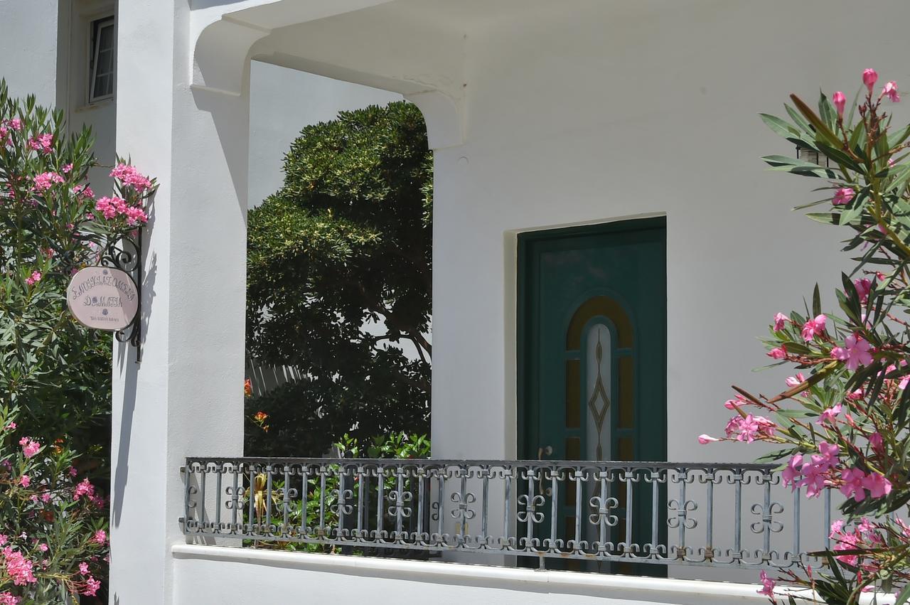 Guest house πικροδάφνες